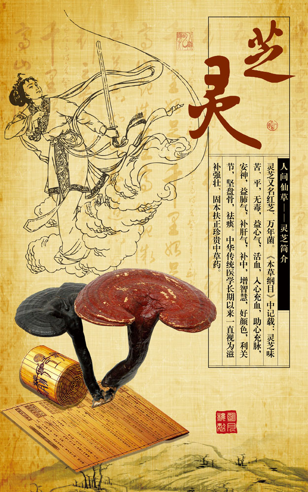 灵芝.png