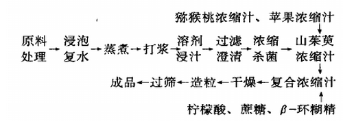 山茱萸.jpg