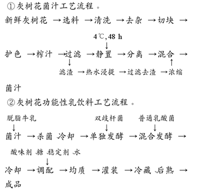 灰树花功能性乳饮料配方的工艺要点