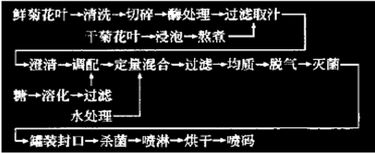 菊花叶.jpg