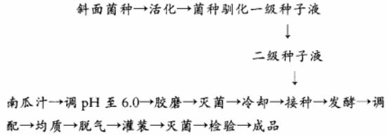 南瓜乳酸发酵饮料加工工艺流程.jpg