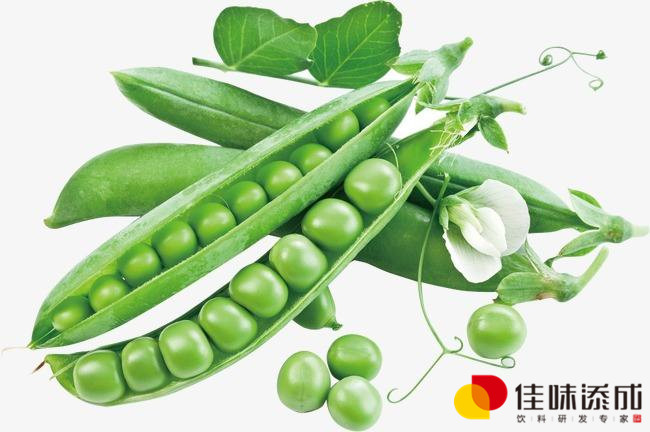 豌豆.jpg