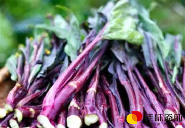油菜薹.jpg