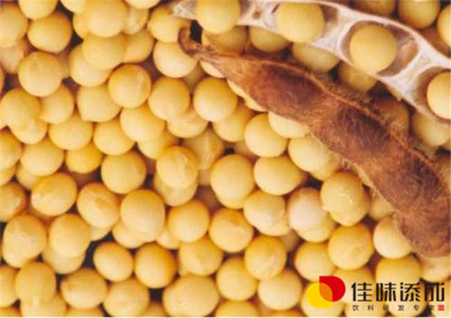 大豆.jpg