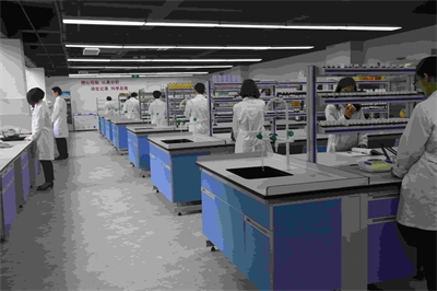 苦菜与沙棘开发的饮料产品，如何从口感上做差异化的配方研发