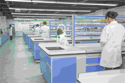 如何从产业背景方面做苦瓜香瓜饮料产品的创新研发