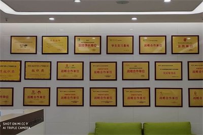 开发浑浊型龙眼果肉乳酸菌发酵饮料可以做哪些差异化的研发